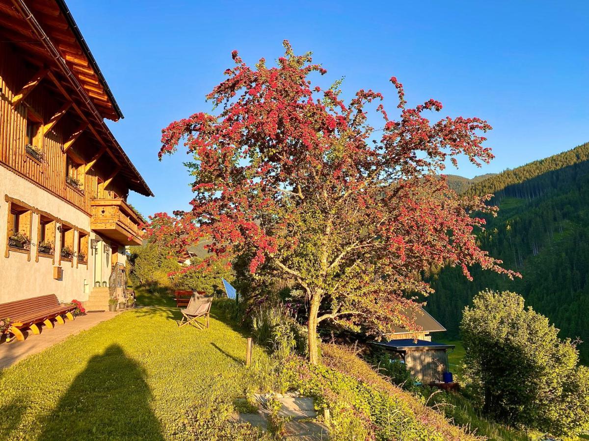Alm Seasons Premium Chalet & Studios ซาลบาคฮินเทอร์เกลมม์ ภายนอก รูปภาพ