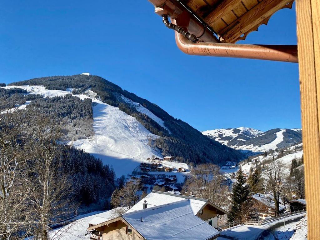 Alm Seasons Premium Chalet & Studios ซาลบาคฮินเทอร์เกลมม์ ภายนอก รูปภาพ