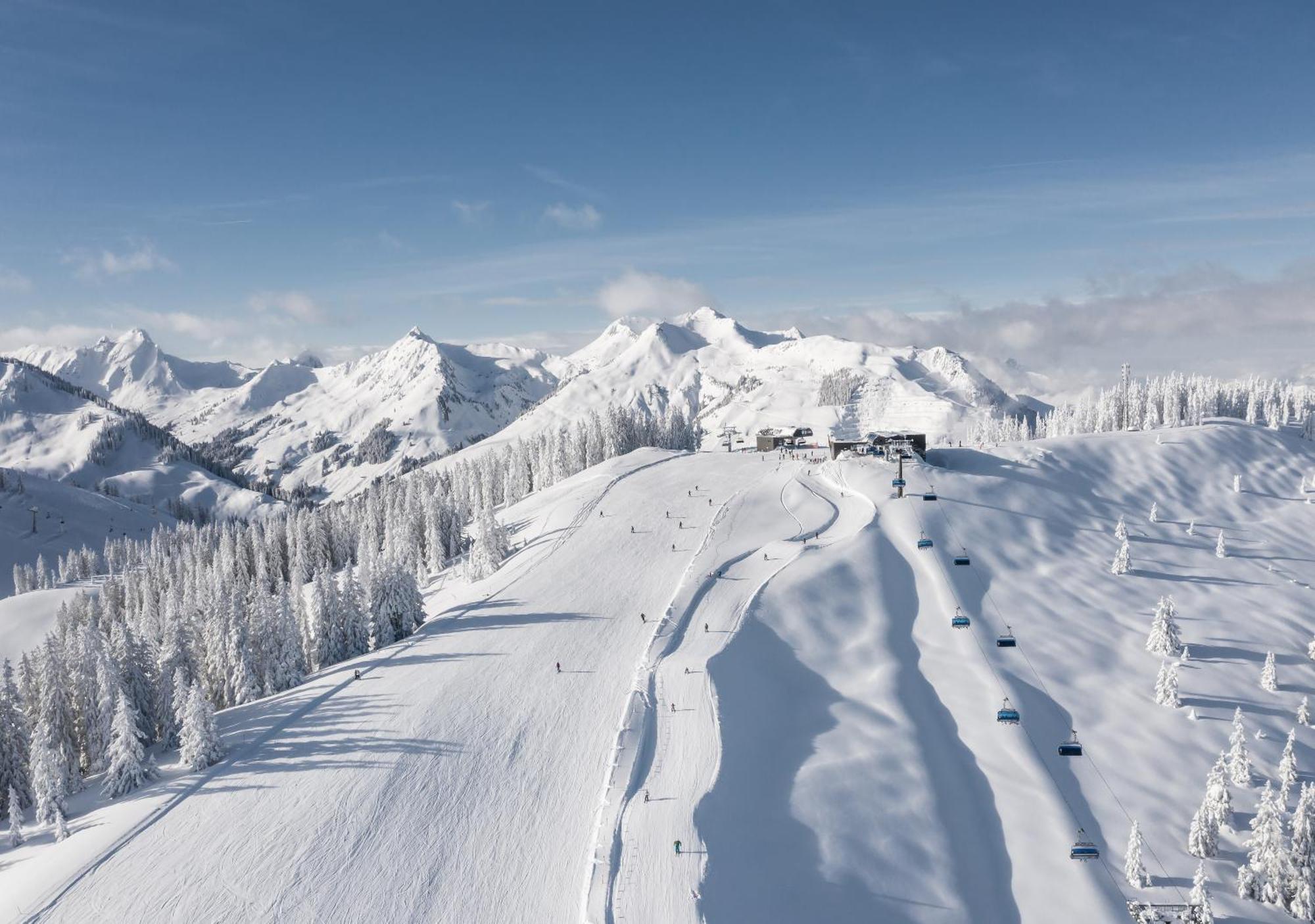 Alm Seasons Premium Chalet & Studios ซาลบาคฮินเทอร์เกลมม์ ภายนอก รูปภาพ