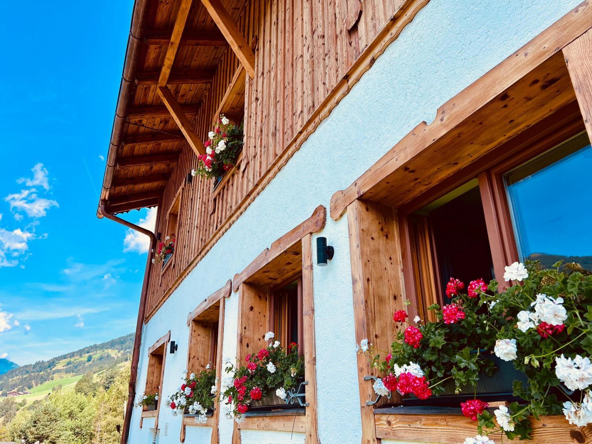 Alm Seasons Premium Chalet & Studios ซาลบาคฮินเทอร์เกลมม์ ภายนอก รูปภาพ